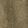 Damestrui East-referentie: EAST18VH26