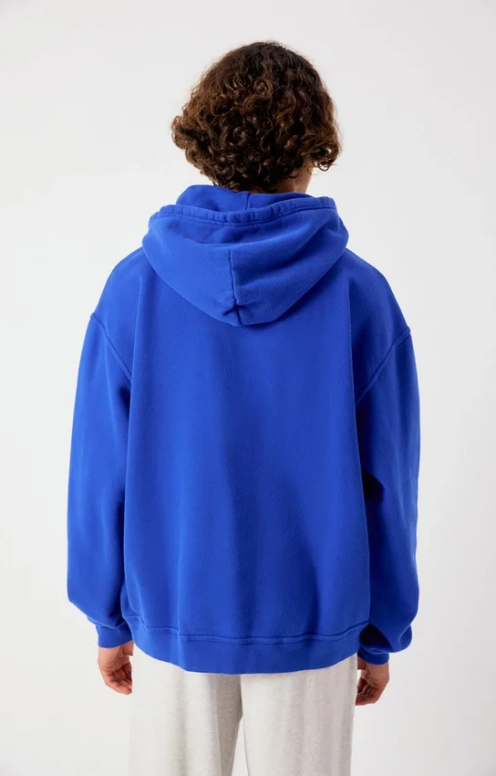 Hoodies voor heren Plizzy Referentie: MPLI03CH26