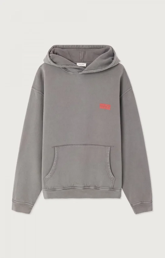 Hoodies voor heren Plizzy Referentie: MPLI03CH26