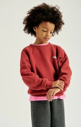 Kinder-sweatshirt Izubird Referentie: KIZU03BH26